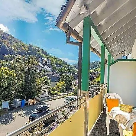 Hotell Moderne Am Wald In Schwalefeld Willingen (Upland)
